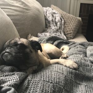 Meet your Posher, Aili